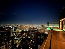 The Ritz-Carlton  (D9), Condominium #504076741